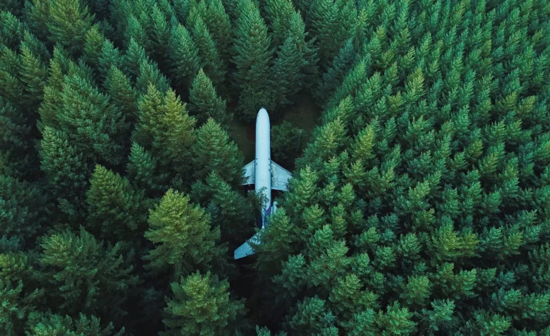 BOEING 727 ENCONTRADO EN UN BOSQUE DE OREGON