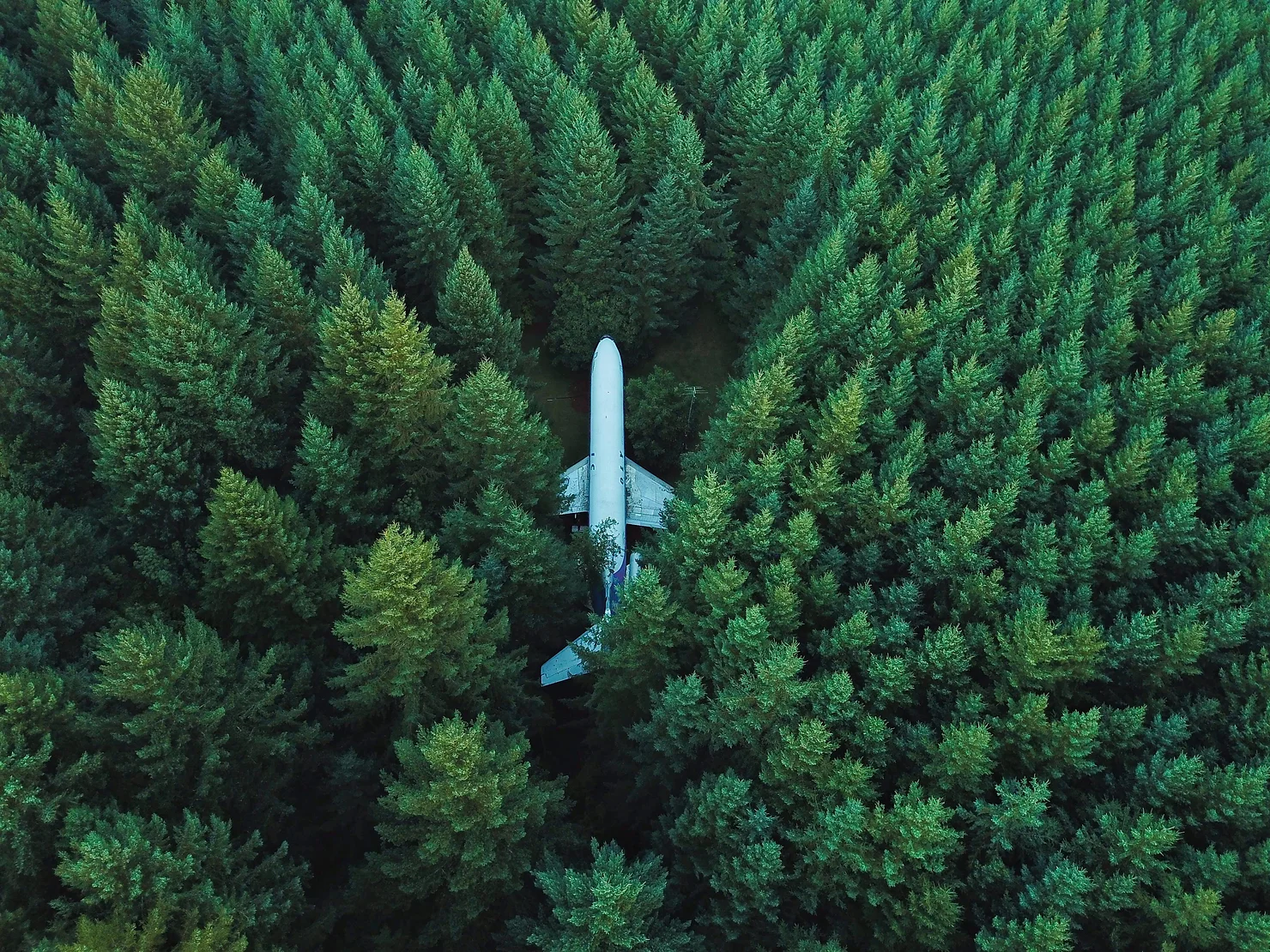 BOEING 727 ENCONTRADO EN UN BOSQUE DE OREGON